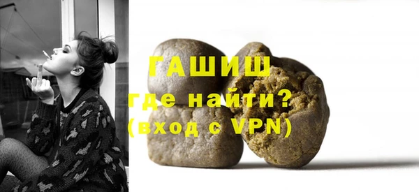 гашик Алексин