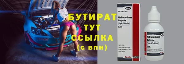 гашик Алексин