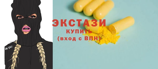 гашик Алексин