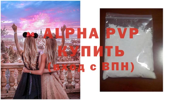 гашик Алексин
