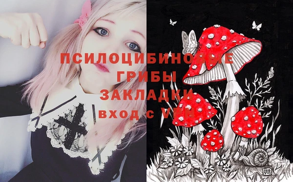твердый Алексеевка