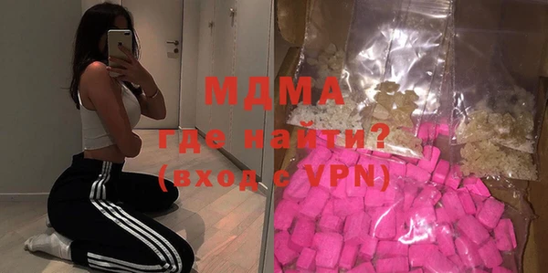 гашик Алексин
