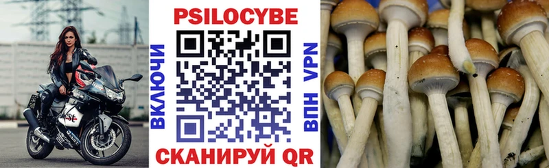 Псилоцибиновые грибы мицелий Тверь